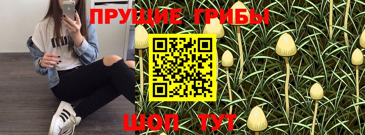 Десногорск  купить закладку  Вход с VPN  Псилоцибиновые грибы MAGIC MUSHROOMS  Галлюциногенные грибы MAGIC MUSHROOMS 
